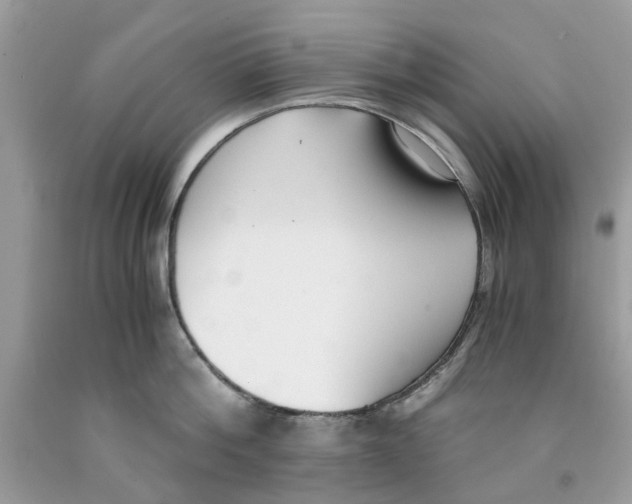 X0000091520812200709141413