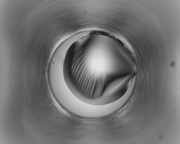 X0000091520813200709141413