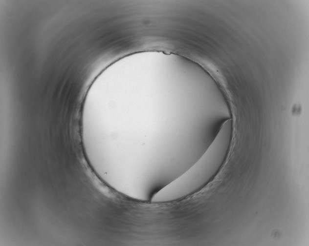 X0000091520816200709141413