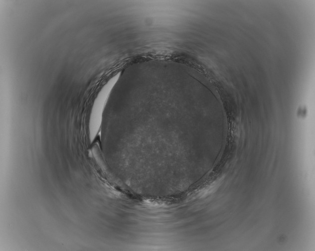 X0000091520818200709141413