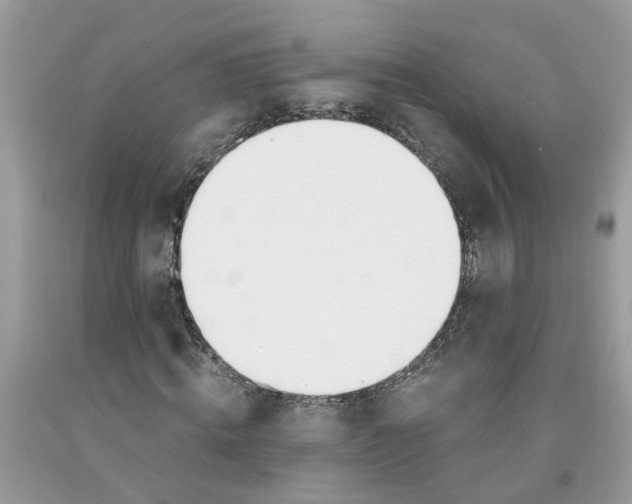 X0000091520820200709141413