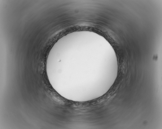 X0000091520821200709141413