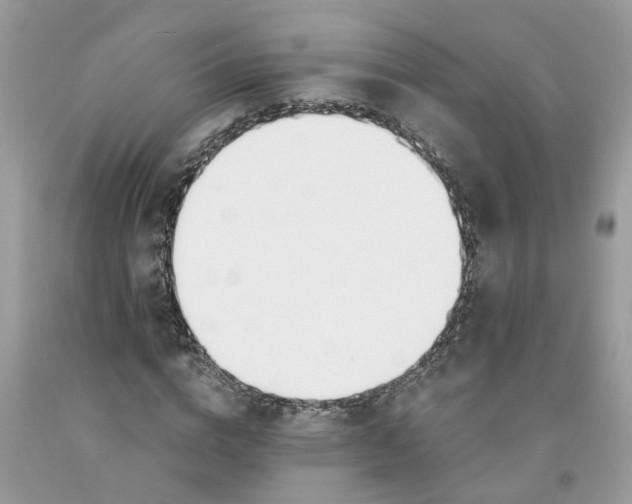 X0000091520824200709141413