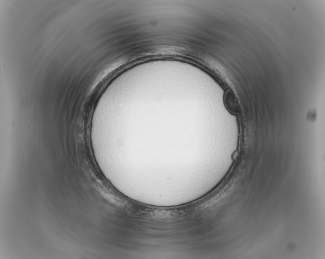 X0000091520827200709141413