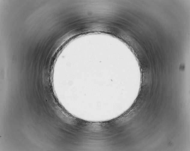 X0000091520828200709141413