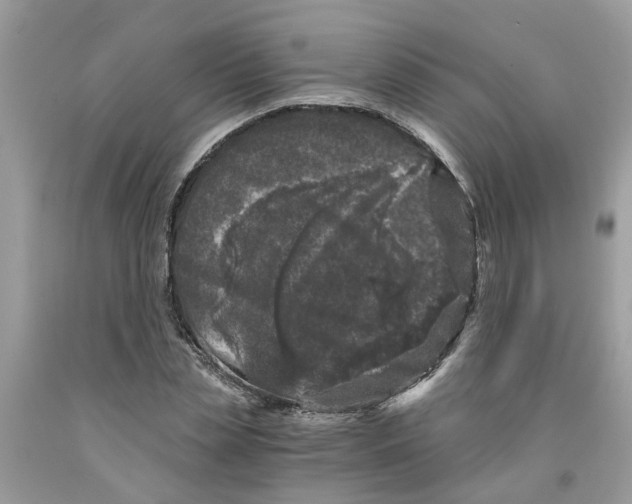 X0000091520829200709141413