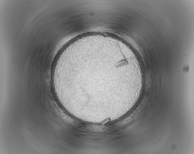 X0000091520831200709141413