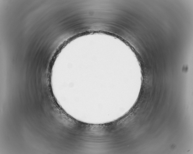 X0000091520832200709141413