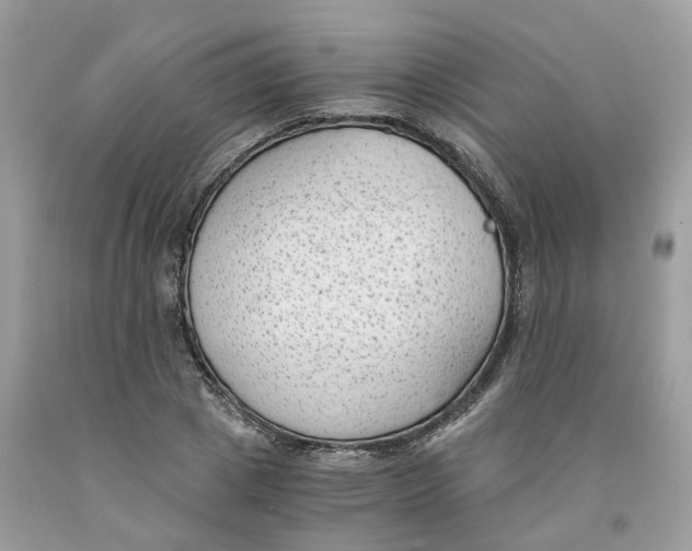 X0000091520833200709141413