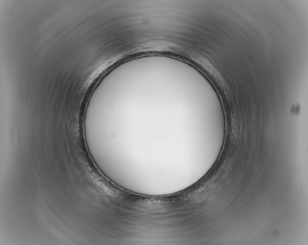 X0000091520834200709141413