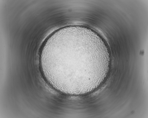 X0000091520835200709141413