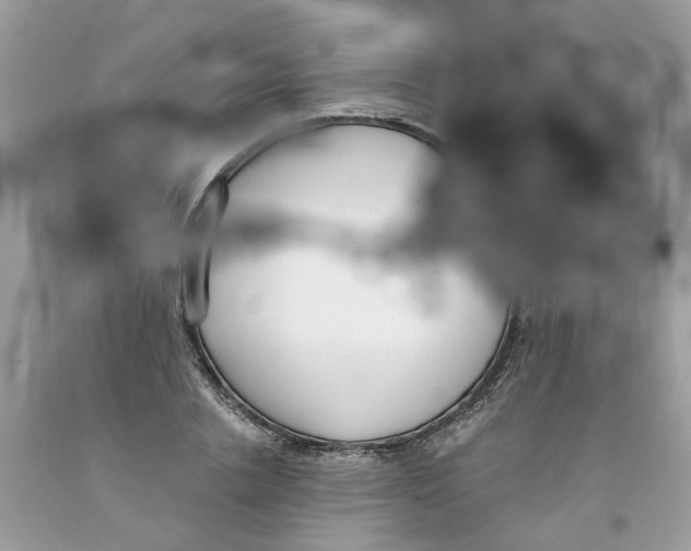 X0000091520838200709141413