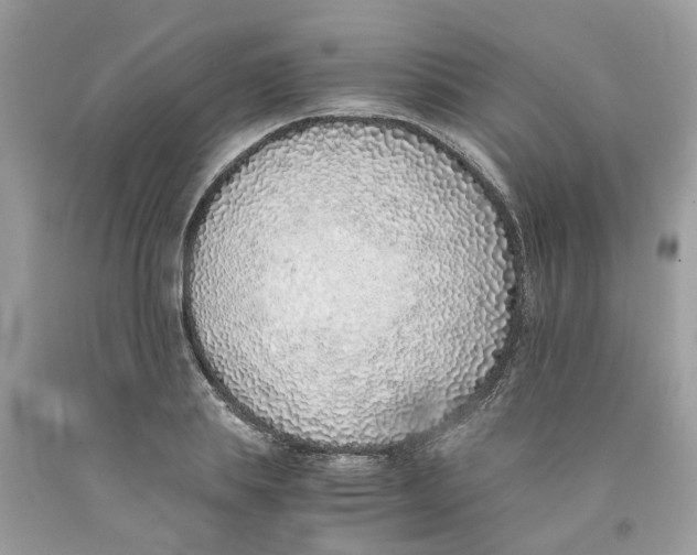 X0000091520839200709141413