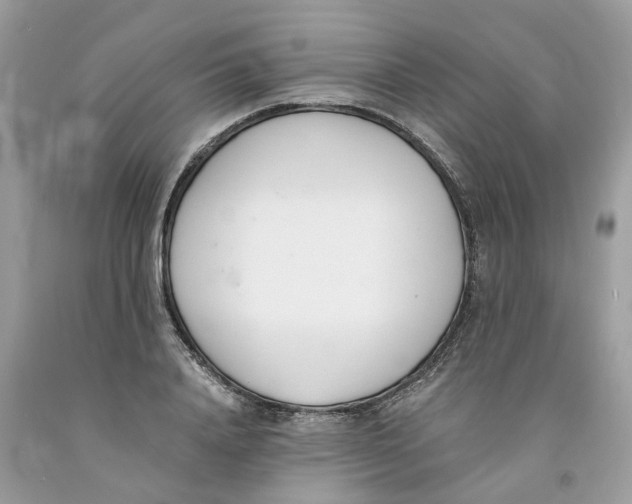 X0000091520840200709141413