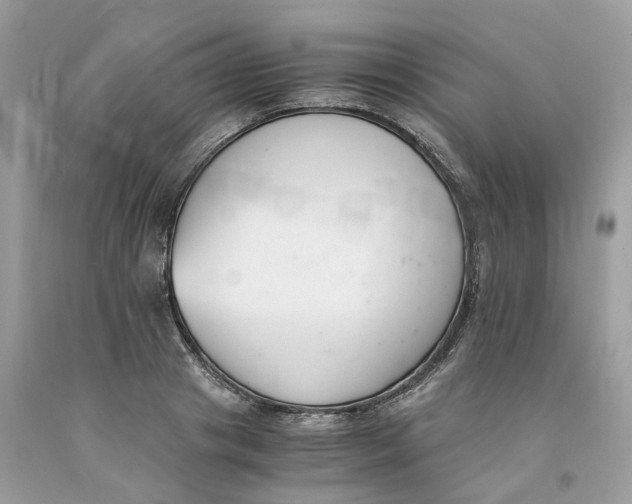 X0000091520841200709141413