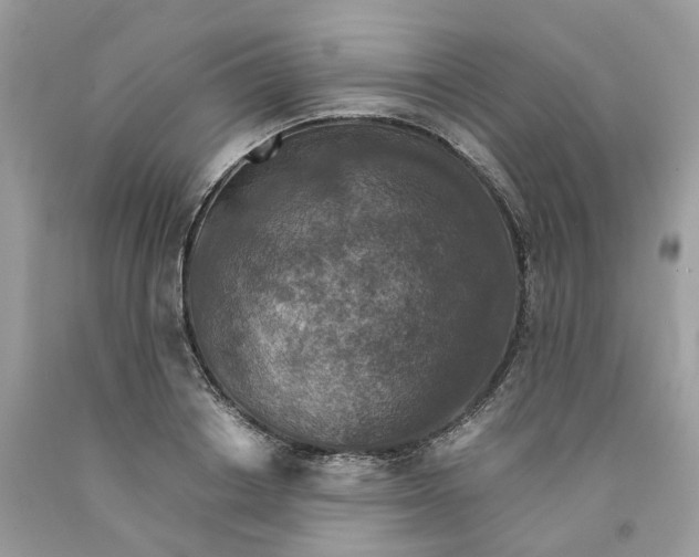 X0000091520842200709141413