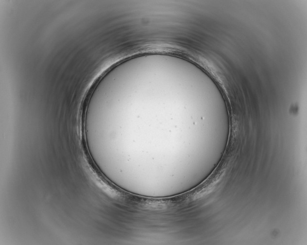 X0000091520843200709141413