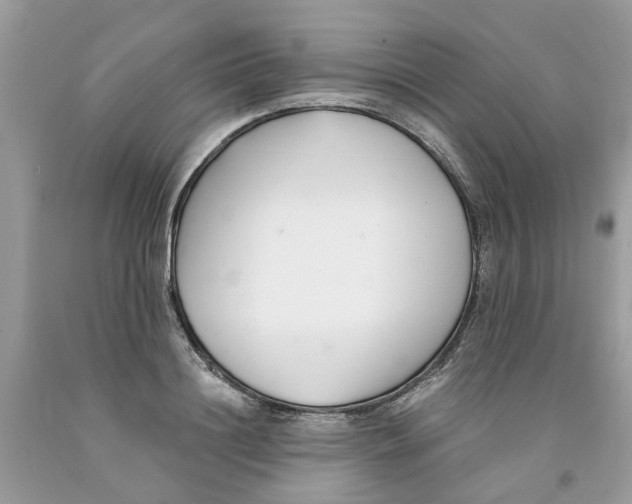 X0000091520844200709141413