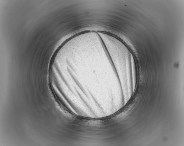 X0000091520845200709141413