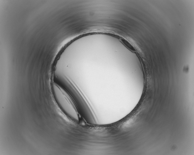 X0000091520846200709141413