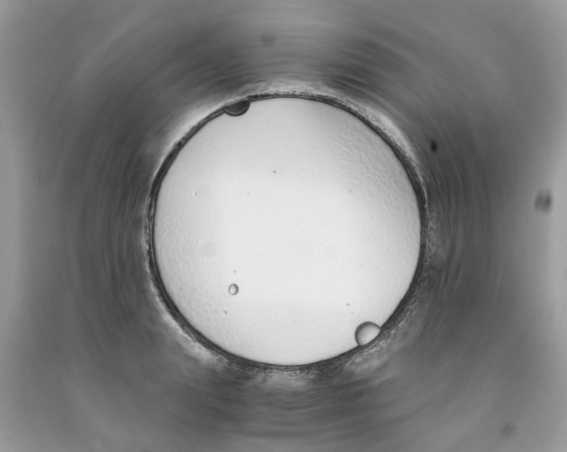 X0000091520847200709141413