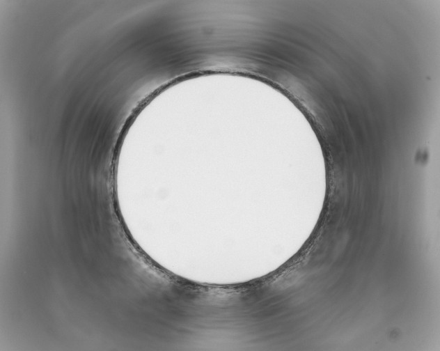 X0000091520848200709141413