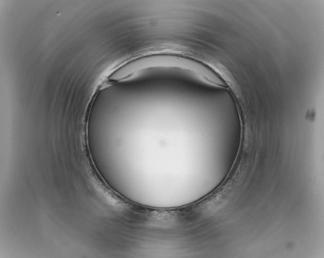 X0000091520850200709141413