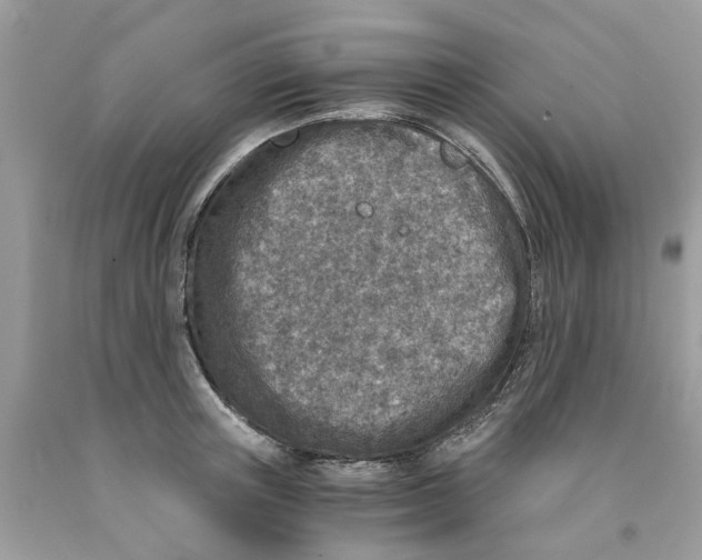 X0000091520851200709141413