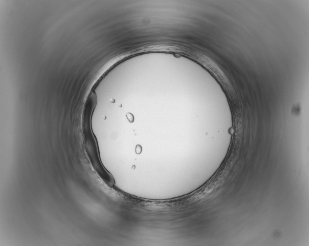 X0000091520852200709141413