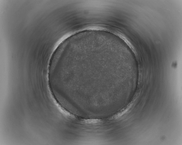 X0000091520853200709141413