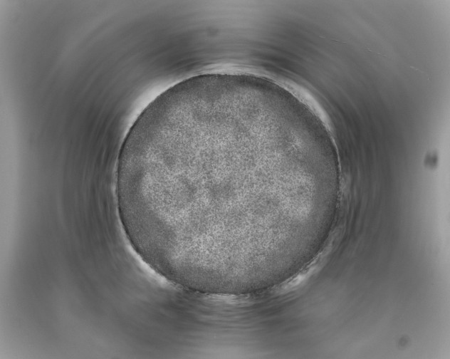 X0000091520855200709141413