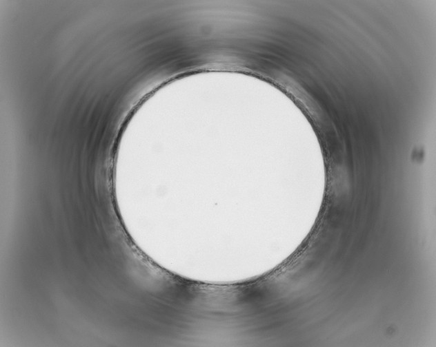 X0000091520856200709141413