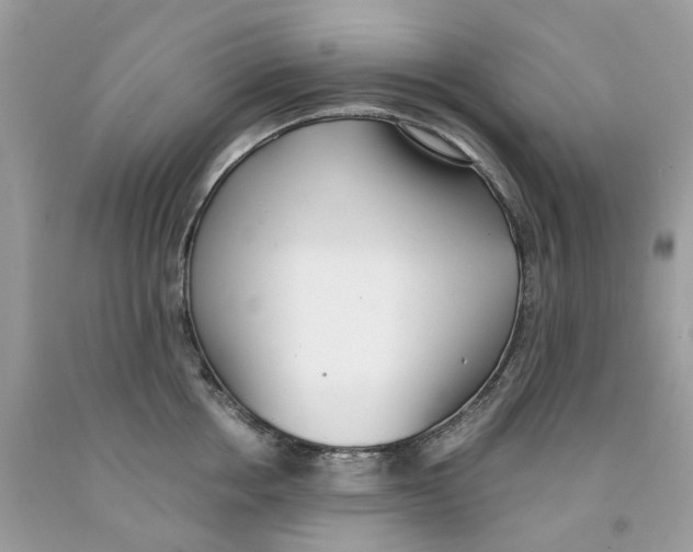 X0000091520858200709141413