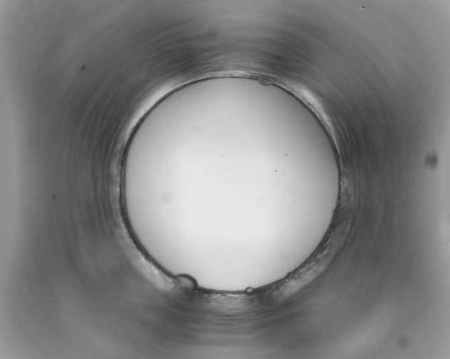 X0000091520859200709141413