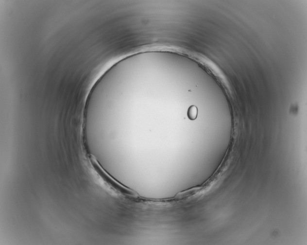 X0000091520860200709141413