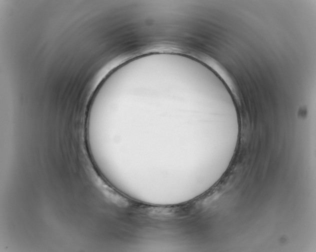 X0000091520861200709141413