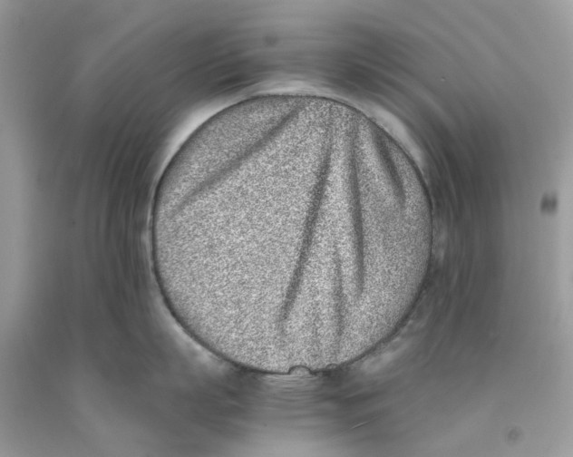 X0000091520863200709141413