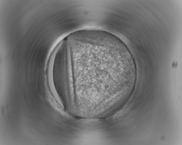 X0000091520864200709141413