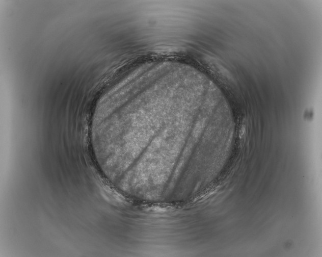 X0000091520868200709141413