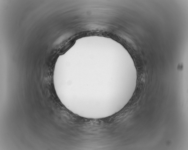 X0000091520869200709141413