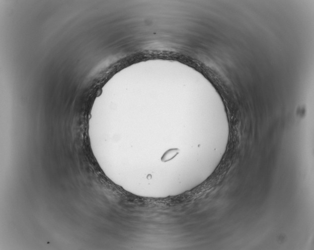 X0000091520870200709141413