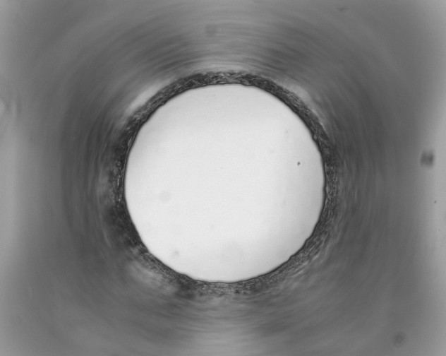 X0000091520871200709141413