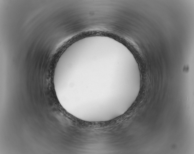 X0000091520872200709141413