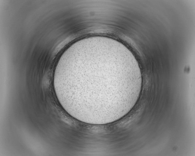 X0000091520874200709141413