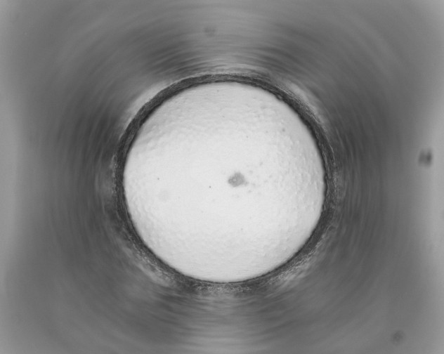 X0000091520875200709141413