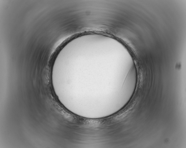 X0000091520878200709141413