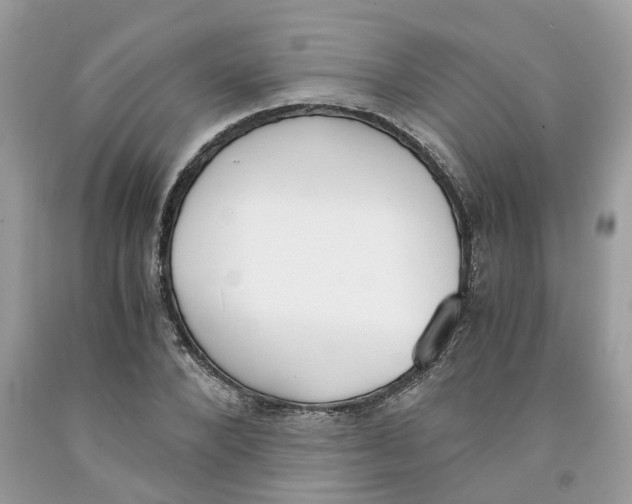 X0000091520880200709141413