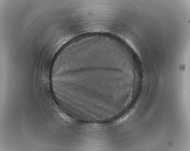 X0000091520881200709141413