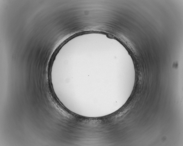 X0000091520884200709141413