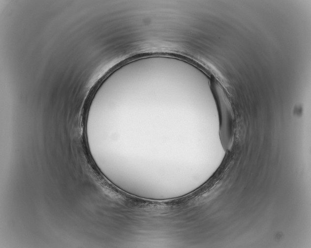 X0000091520885200709141413